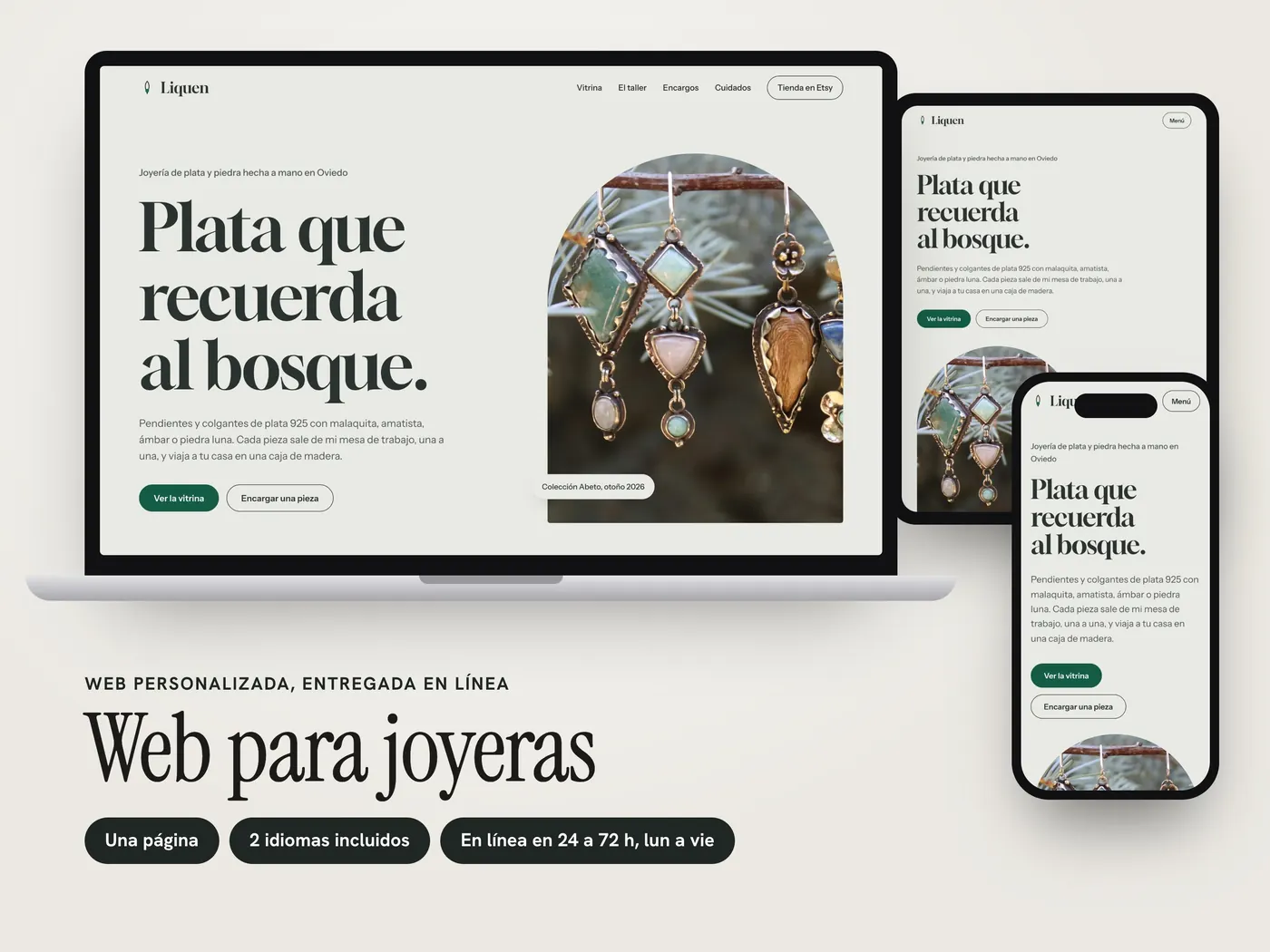 Liquen, Personalized website, view 1