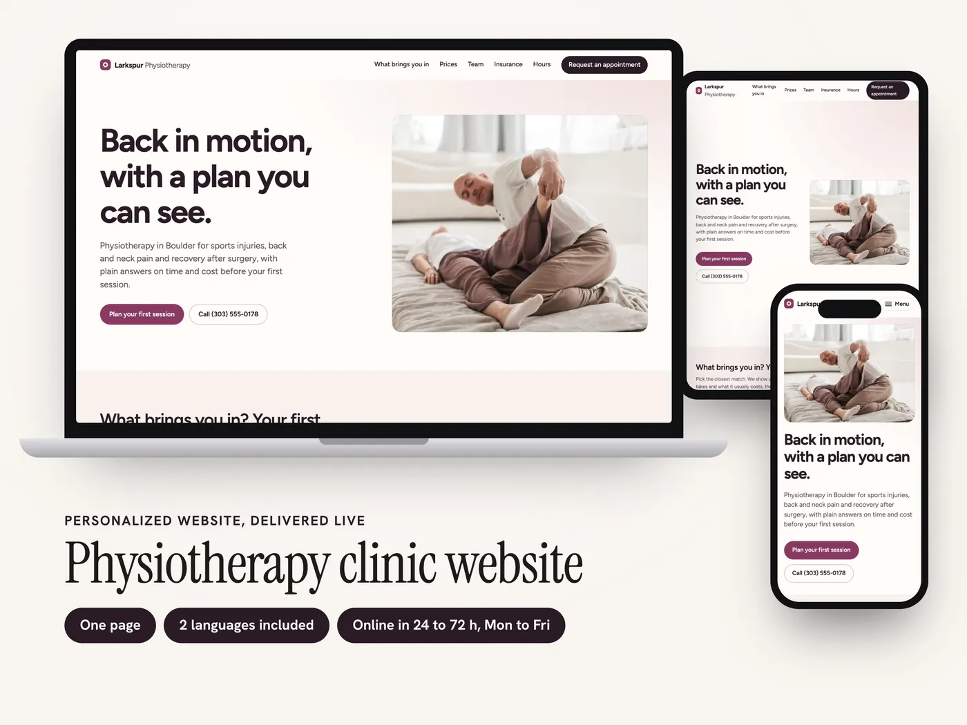 Larkspur Physiotherapy, Personalized website, view 1