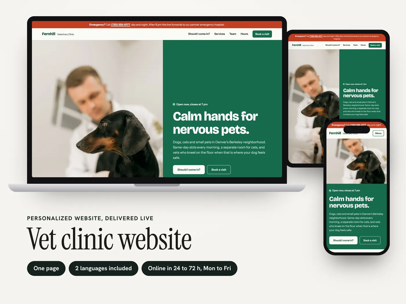 Fernhill Veterinary Clinic, Personalized website, view 1