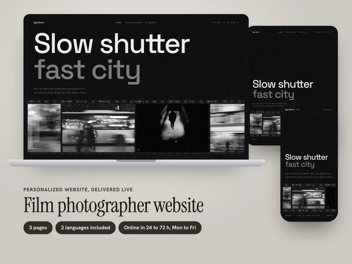 Ilya Sorin, Personalized website, view 1